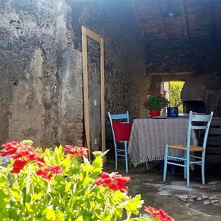Casaammari Villa Acireale Eksteriør billede