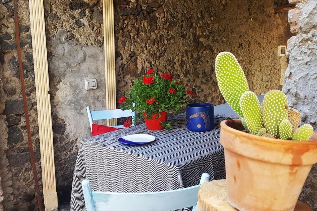 Casaammari Villa Acireale Eksteriør billede