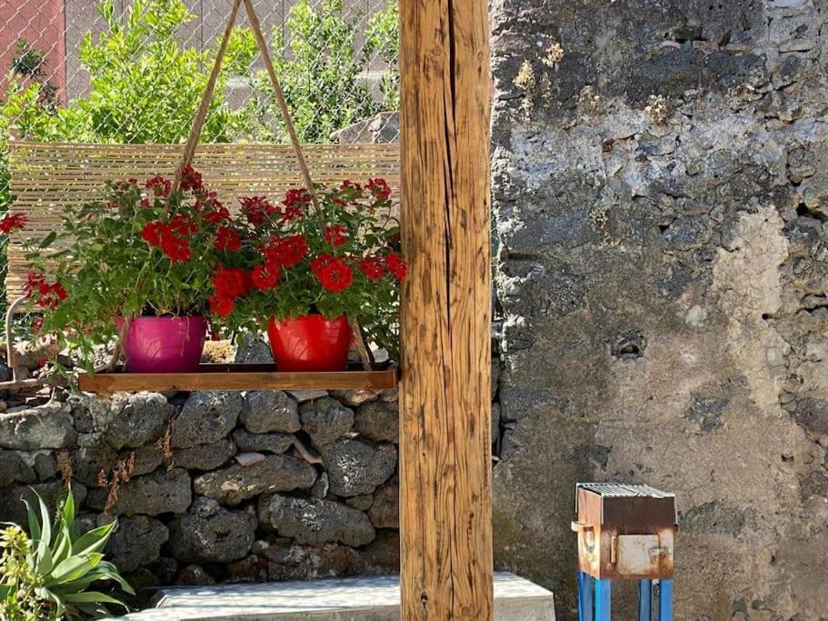 Casaammari Villa Acireale Eksteriør billede