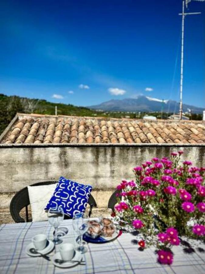 Casaammari Villa Acireale Eksteriør billede